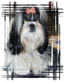 Blacky sexy du temple des Mandarins