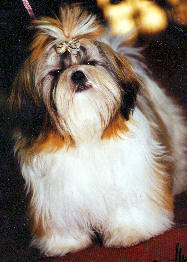 Philippines du temple des Mandarins