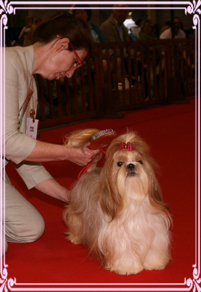 Dallas du temple des Mandarins